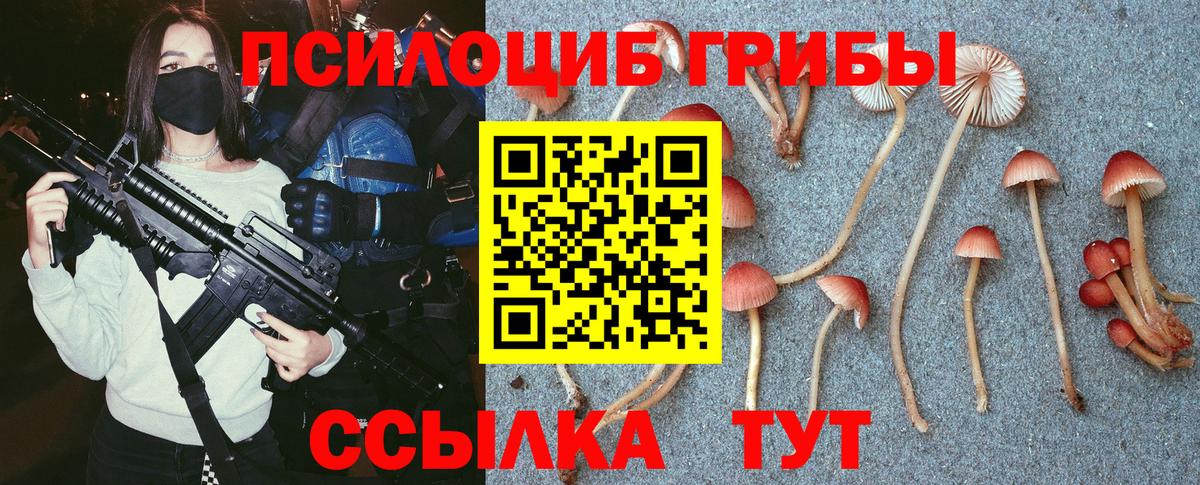 Псилоцибиновые грибы мухоморы  Вход с VPN  Рославль  Псилоцибиновые грибы мицелий 