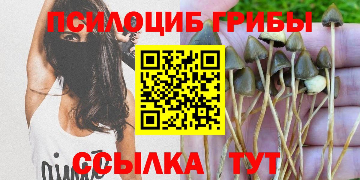 Галлюциногенные грибы мицелий Рославль